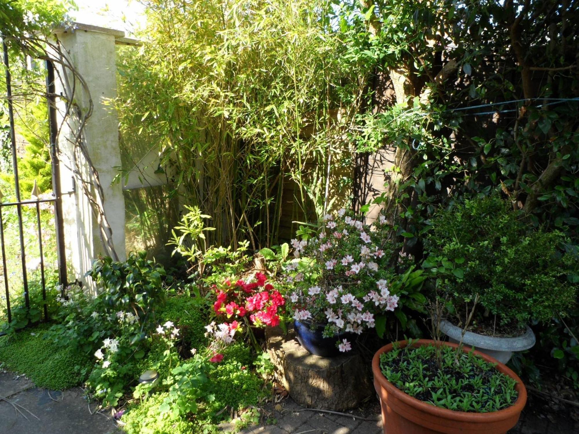 Galway Guest House Weymouth Eksteriør bilde