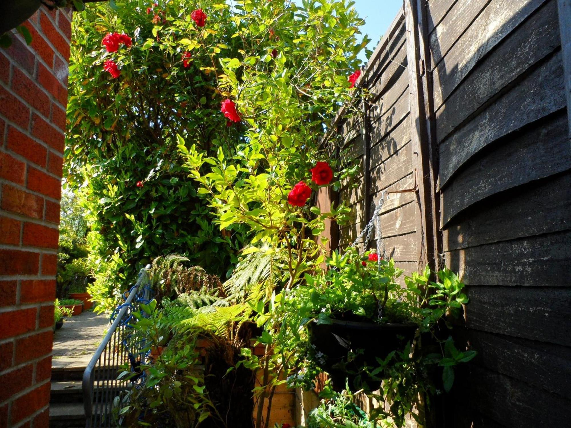Galway Guest House Weymouth Eksteriør bilde